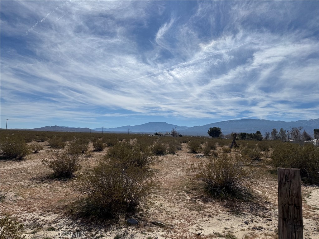 10248 Cavetto Road Lucerne Valley, CA 92356 - Photo 11 of 17 a view of a dry yard with lots of trees