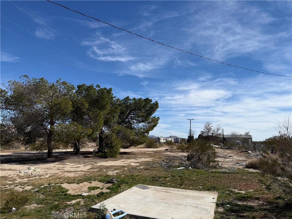 10248 Cavetto Road Lucerne Valley, CA 92356 - Photo 12 of 17 a view of a yard with trees