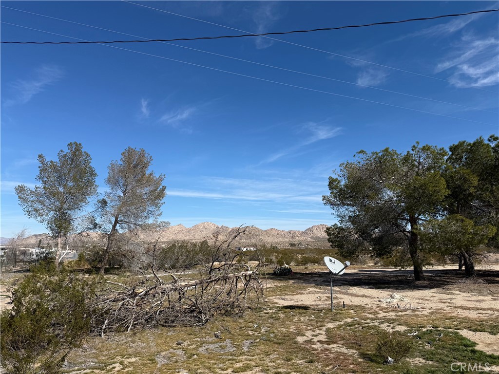 10248 Cavetto Road Lucerne Valley, CA 92356 - Photo 14 of 17 a view of a yard with a tree