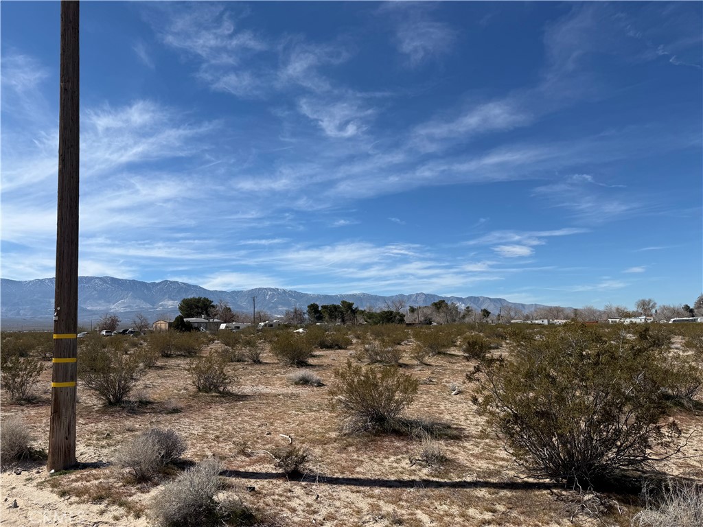 10248 Cavetto Road Lucerne Valley, CA 92356 - Photo 3 of 17 a view of a sky
