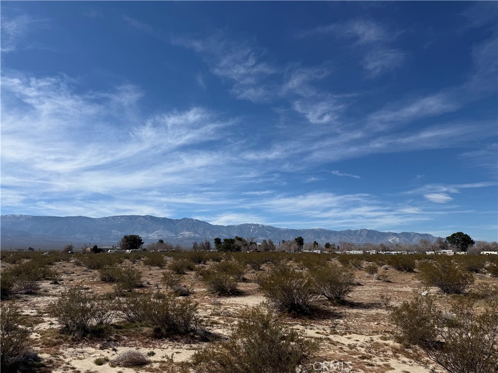 10248 Cavetto Road Lucerne Valley, CA 92356 - Photo 5 of 17