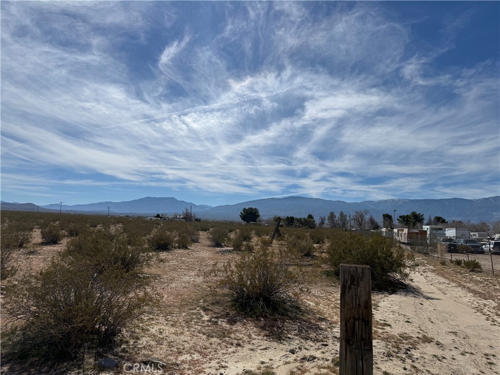 10248 Cavetto Road Lucerne Valley, CA 92356 - Photo 8 of 17 a view of a yard with wooden fence