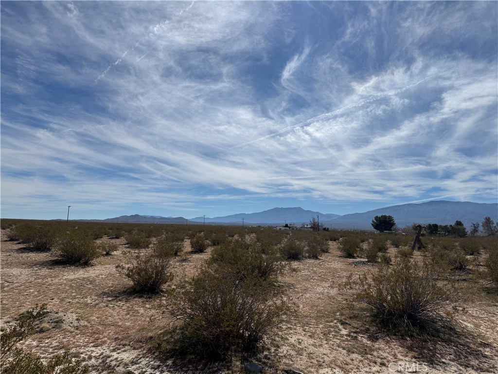 10248 Cavetto Road Lucerne Valley, CA 92356 - Photo 9 of 17