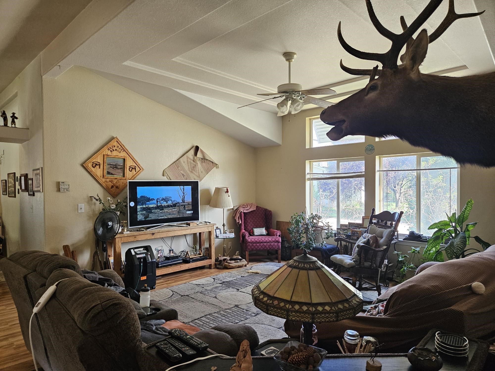 435 32 Road, Unit 424 Clifton, CO 81520 - Photo 7 of 21 a living room with furniture a dining table and a chandelier