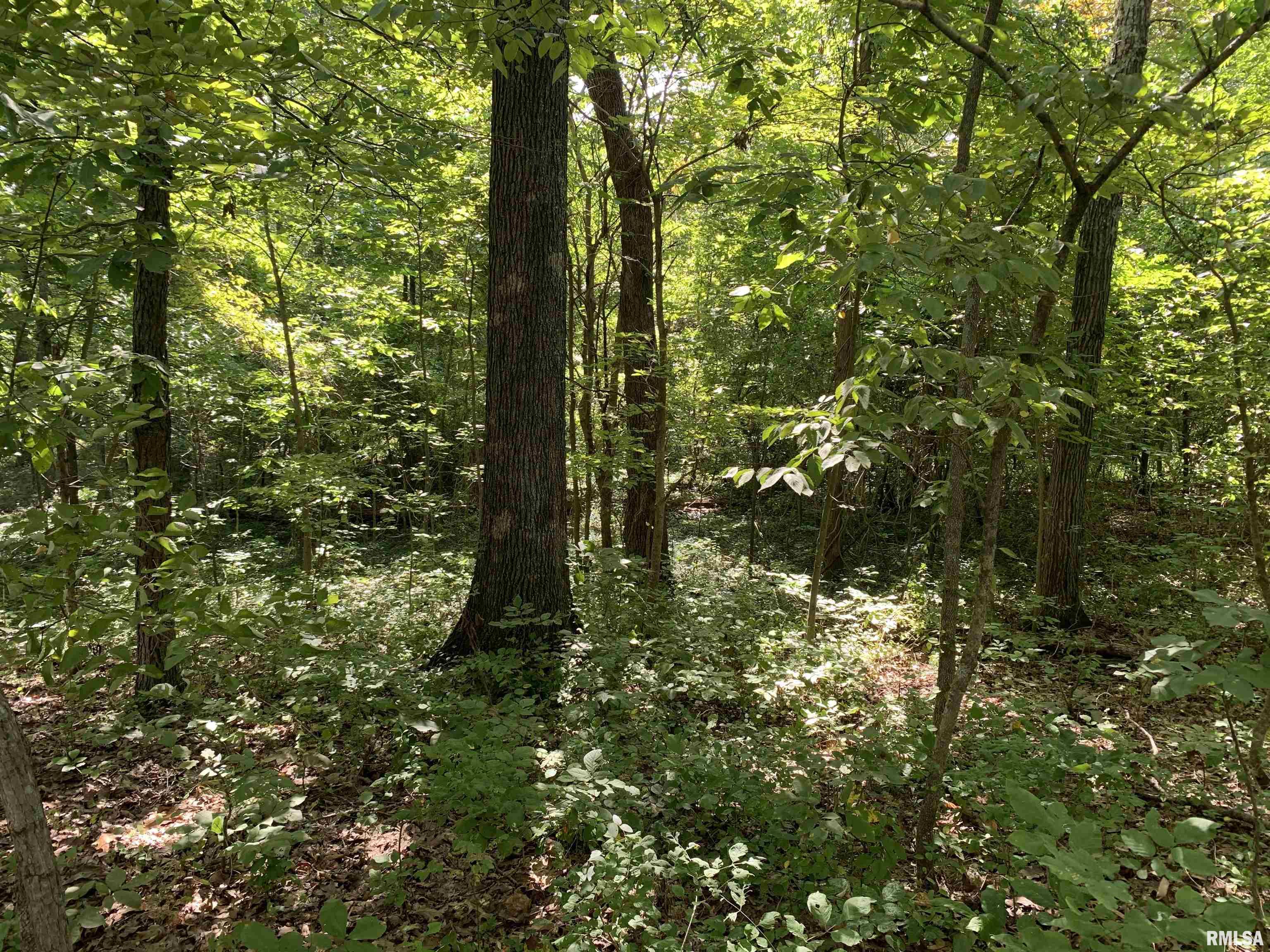 22179 Old Delta Mine Road Marion, IL 62959 - Photo 10 of 47