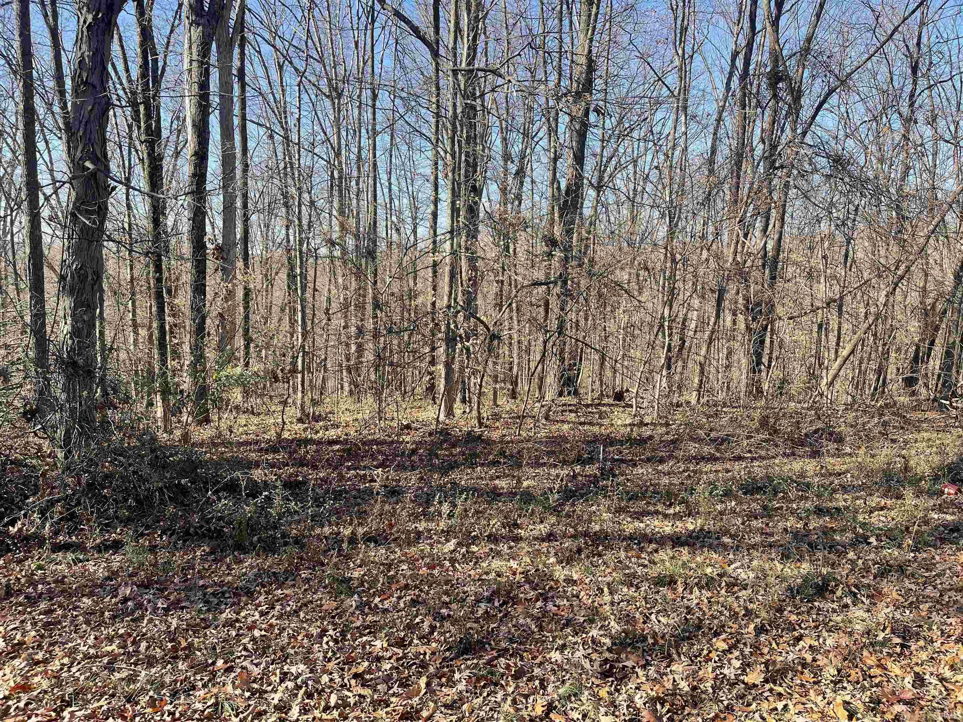 3110 West Shaw Road Bloomington, IN 47403 - Photo 17 of 18