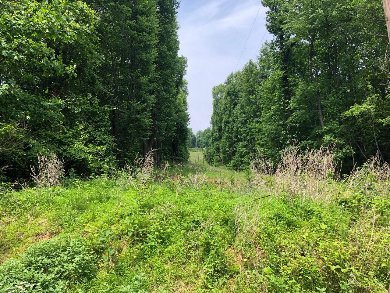 0 Sandy Ford Road Thaxton, VA 24174 - Photo 6 of 20 a view of outdoor space and green field