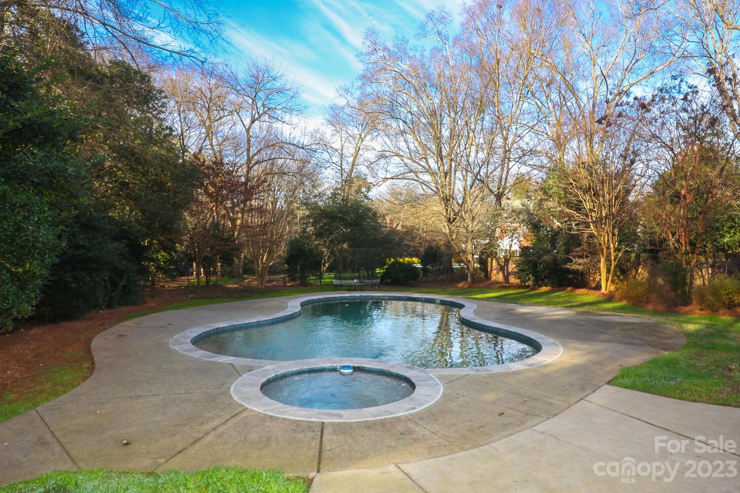1732 Rutledge Avenue Charlotte, NC 28211 - Photo 28 of 30 a view of outdoor space yard swimming pool and trees