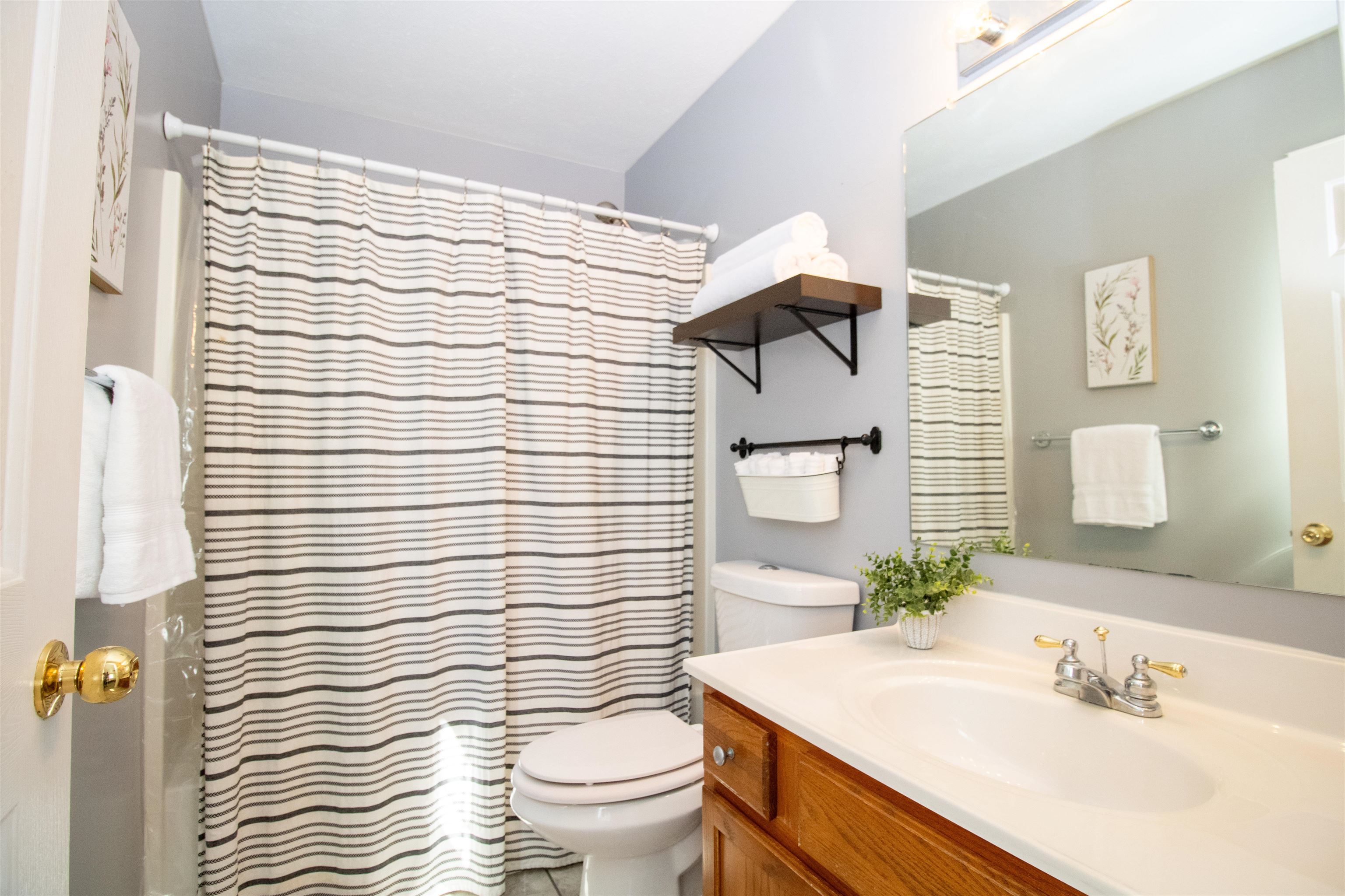 37 Danforth Drive Weyers Cave, VA 24486 - Photo 31 of 45 a bathroom with a sink a toilet and shower curtain