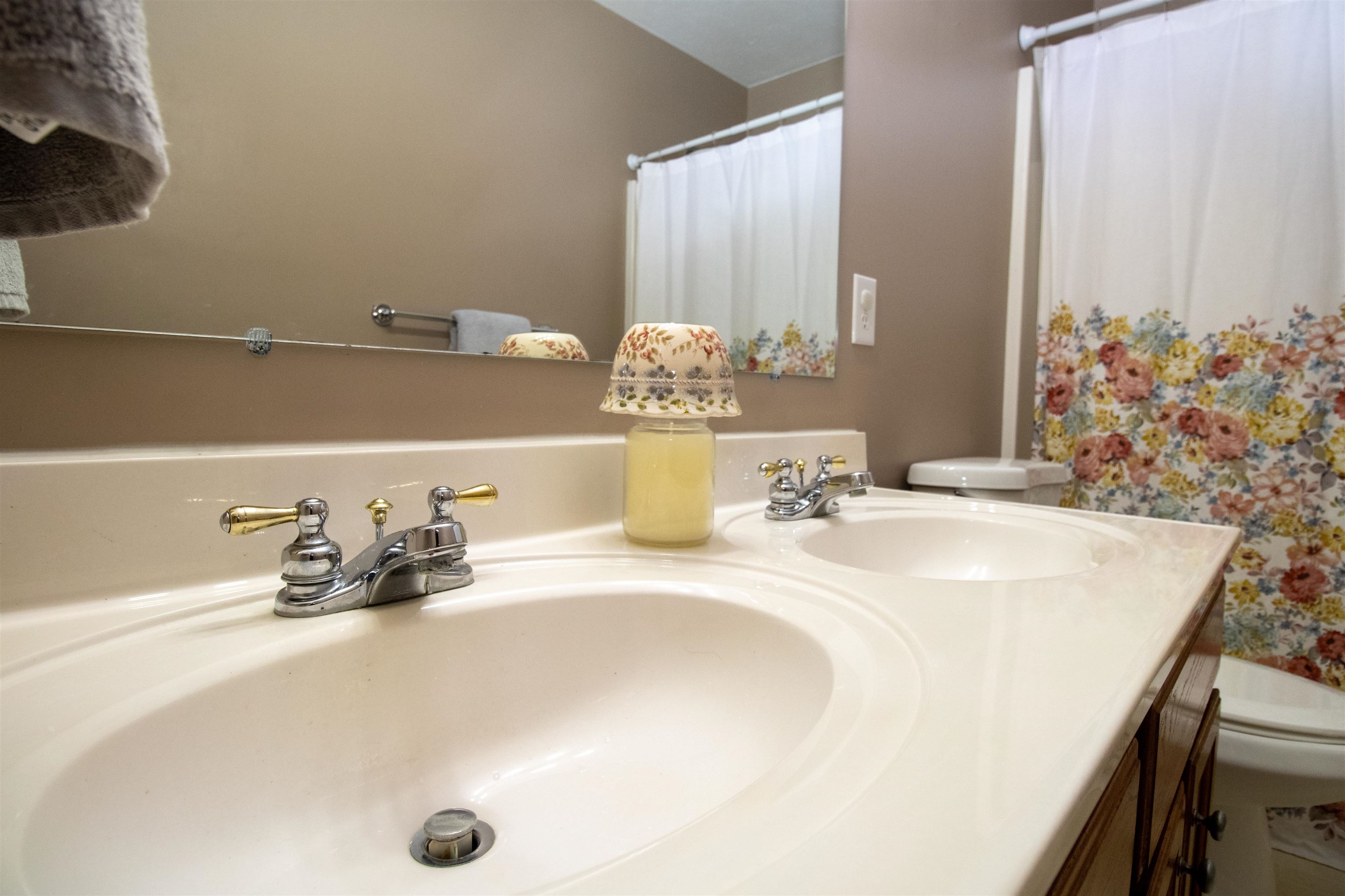 37 Danforth Drive Weyers Cave, VA 24486 - Photo 40 of 45 a bathroom with a sink and a mirror