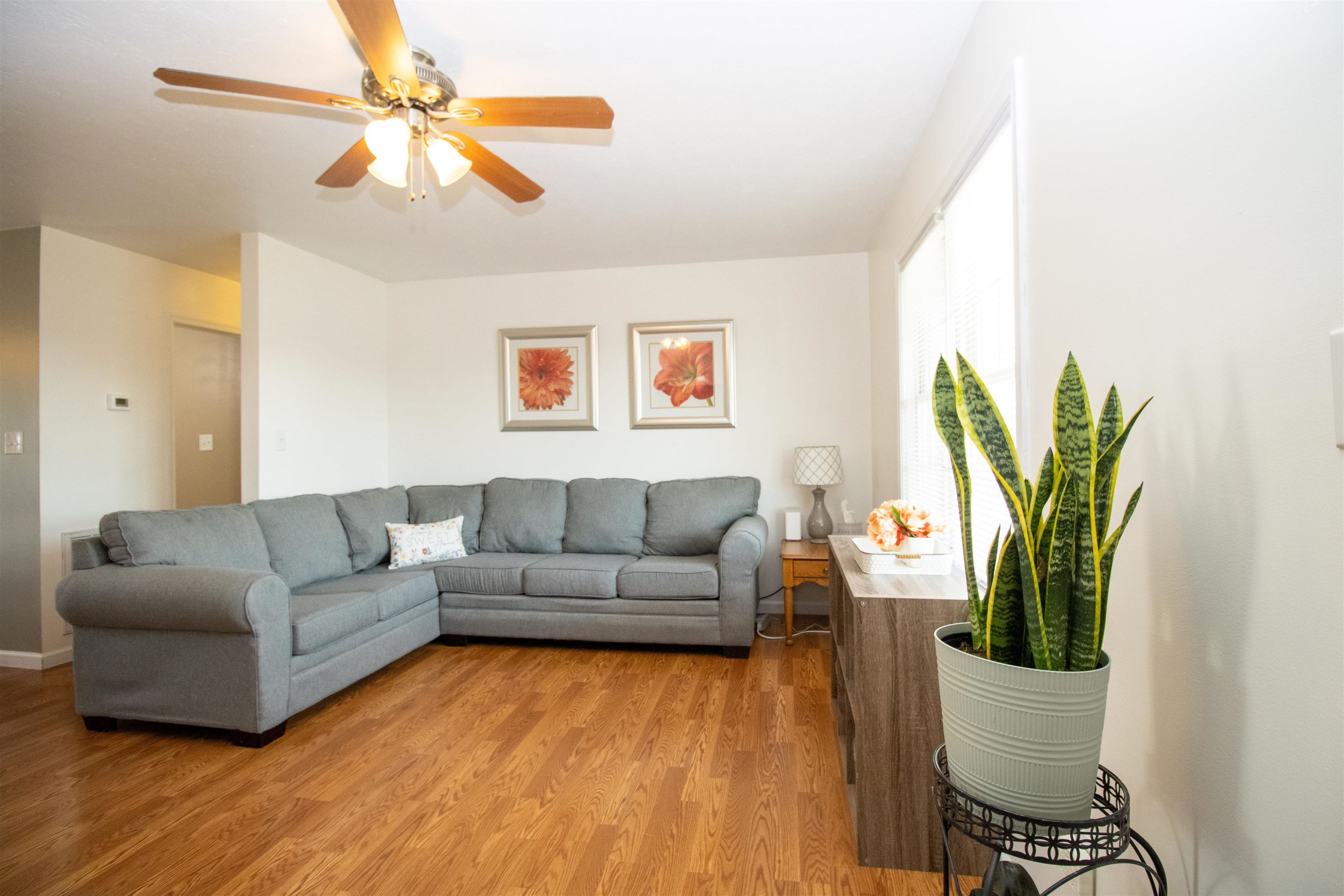 37 Danforth Drive Weyers Cave, VA 24486 - Photo 9 of 45 a living room with furniture and a potted plant