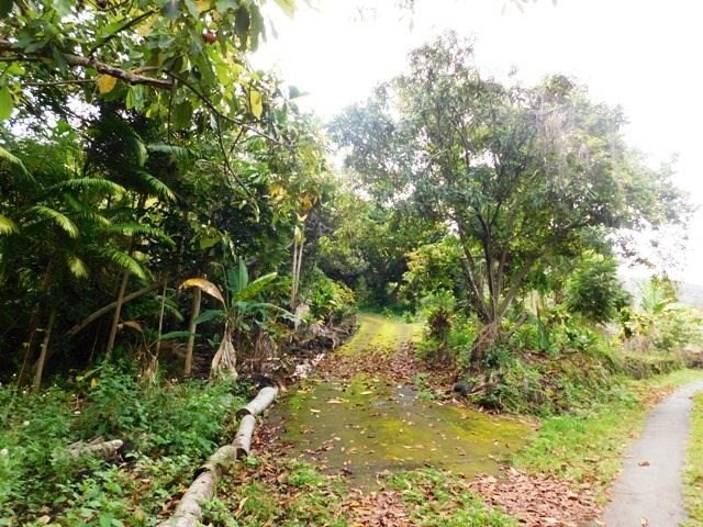 83-5556 Hawaii Belt Road Captain Cook, HI 96704 - Photo 11 of 12 Gallery Image 11