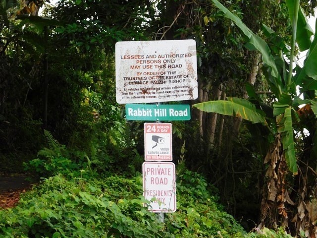 83-5556 Hawaii Belt Road Captain Cook, HI 96704 - Photo 12 of 12 Gallery Image 12