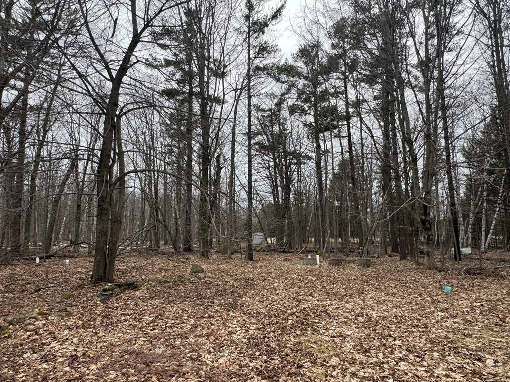 1721 Town Line Road Washington Island, WI 54246 - Photo 9 of 18