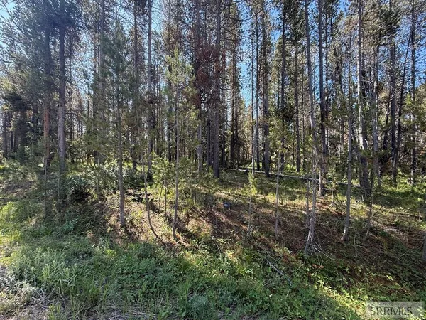 $450,000 | 3632 Sparrow Hawk Street, Island Park, ID 83429