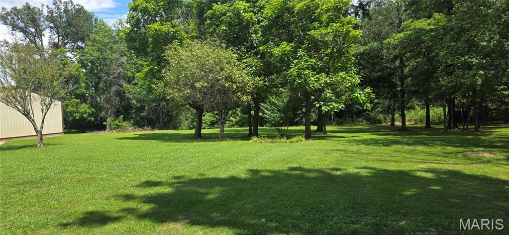 18371 Perry Road Pittsburg, IL 62974 - Photo 12 of 61