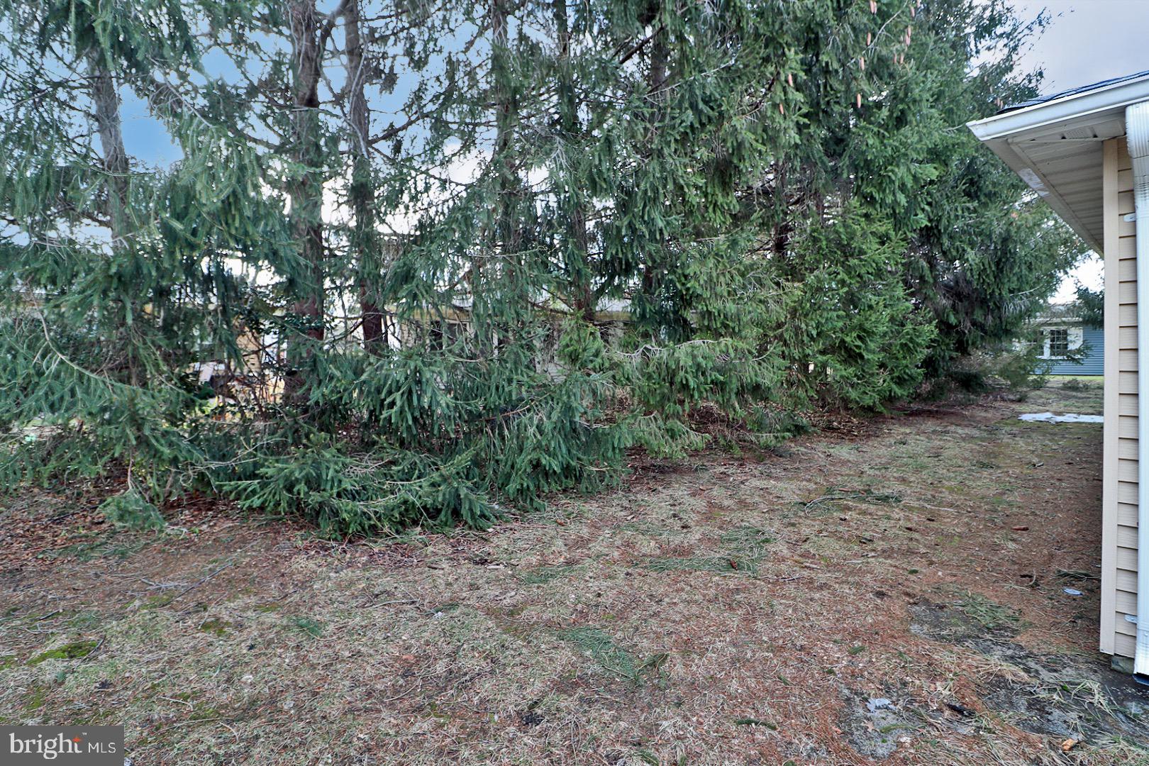 23 Abbey Road Brick, NJ 08723 - Photo 35 of 37 a view of a yard with a tree