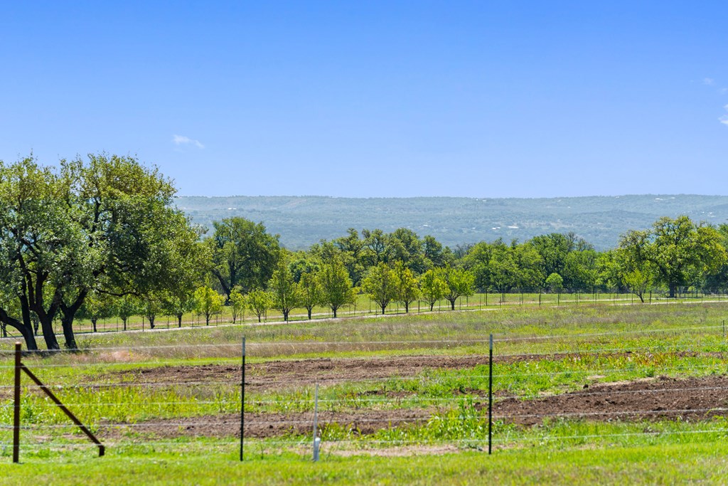 784 Ranch Road 2721 Johnson City, TX 78636 - Photo 12 of 20 a view of a park with large trees