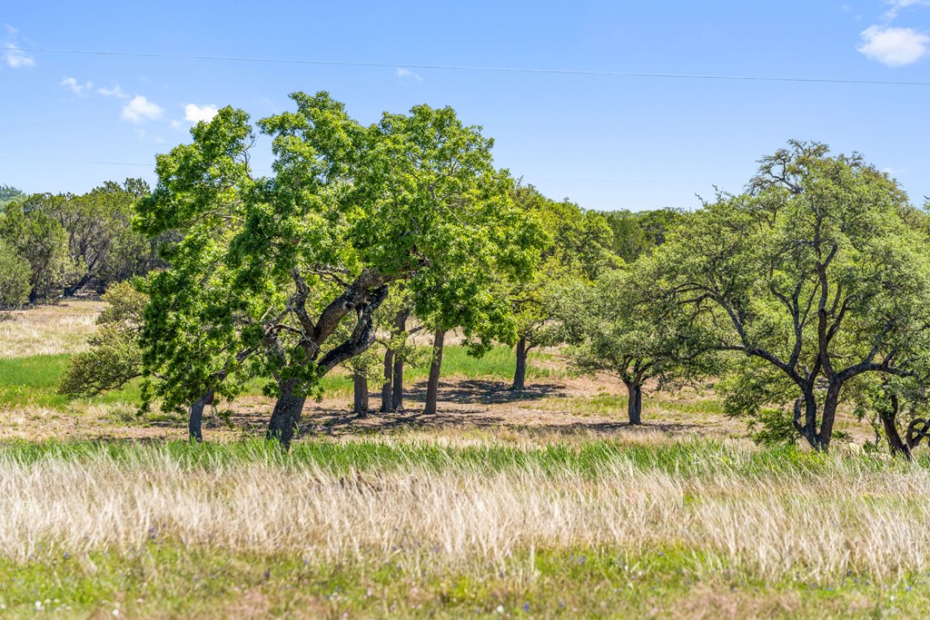 784 Ranch Road 2721 Johnson City, TX 78636 - Photo 15 of 20