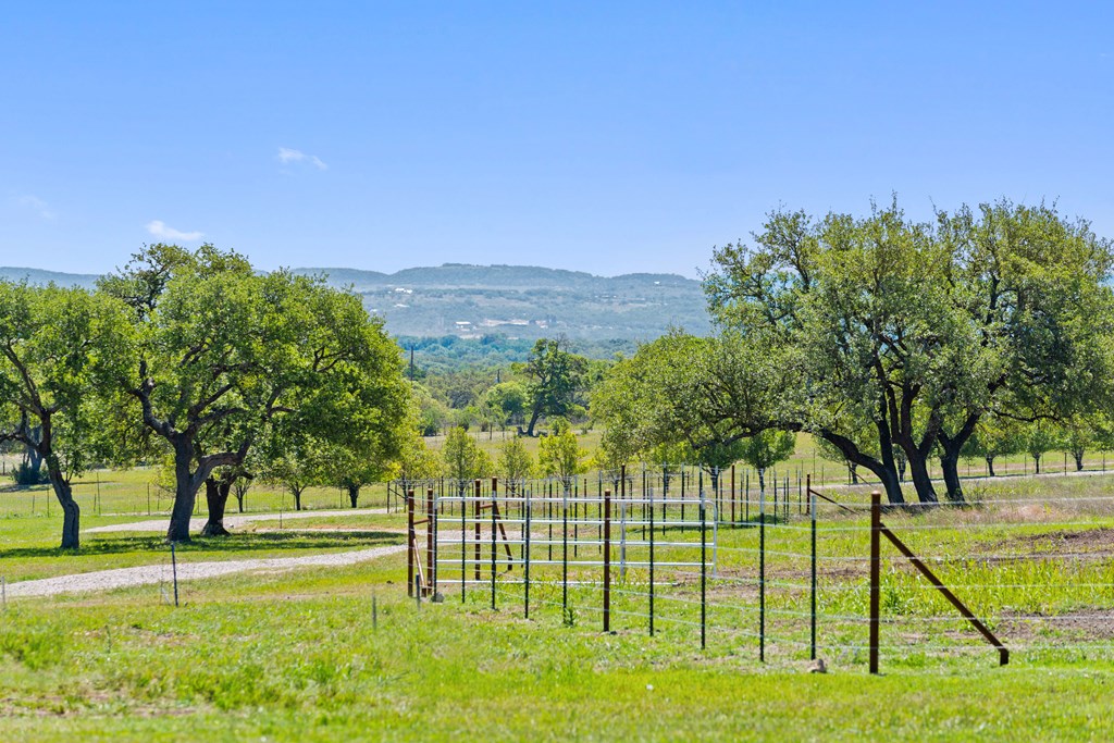 784 Ranch Road 2721 Johnson City, TX 78636 - Photo 2 of 20 a view of a park with large trees