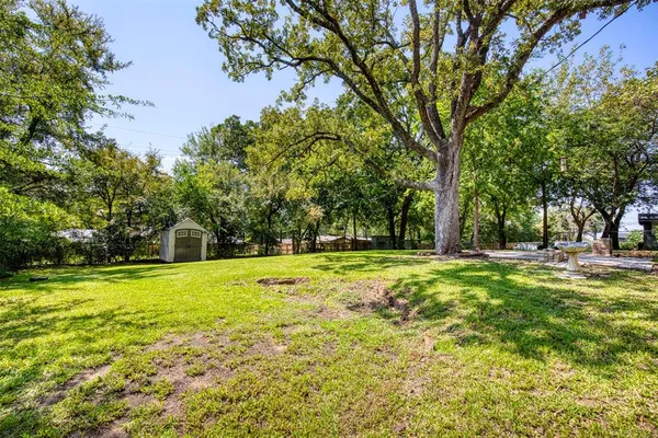 a view of a trees in a yard