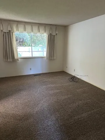 a view of a tree in a yard