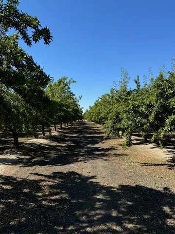 a view of a house with a big yard and large trees