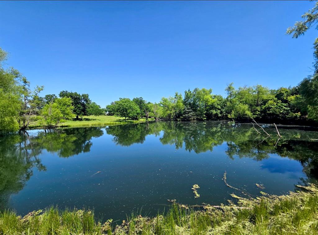 7899 County Road 623 Blue Ridge, TX 75424 - Photo 33 of 39 a view of lake