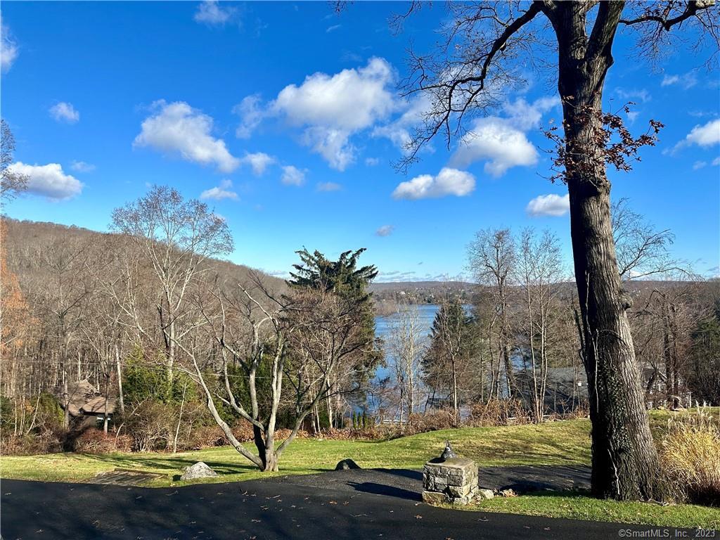 41 Candlewood Drive New Fairfield, CT 06812 - Photo 2 of 16 a view of a yard with palm trees
