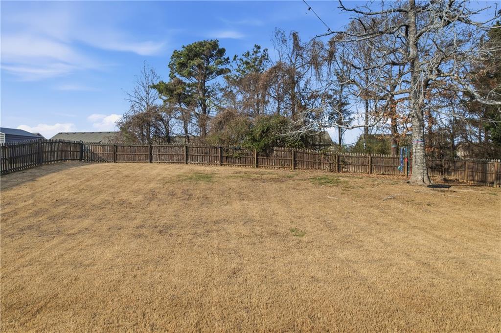 2800 Barimore Place Dacula, GA 30019 - Photo 47 of 51 a backyard of a house with lots of green space