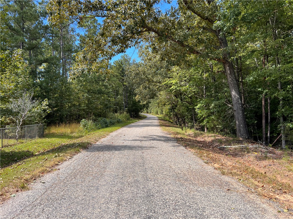 770 N Road Iva, SC 29655 - Photo 45 of 48 Approaching Property