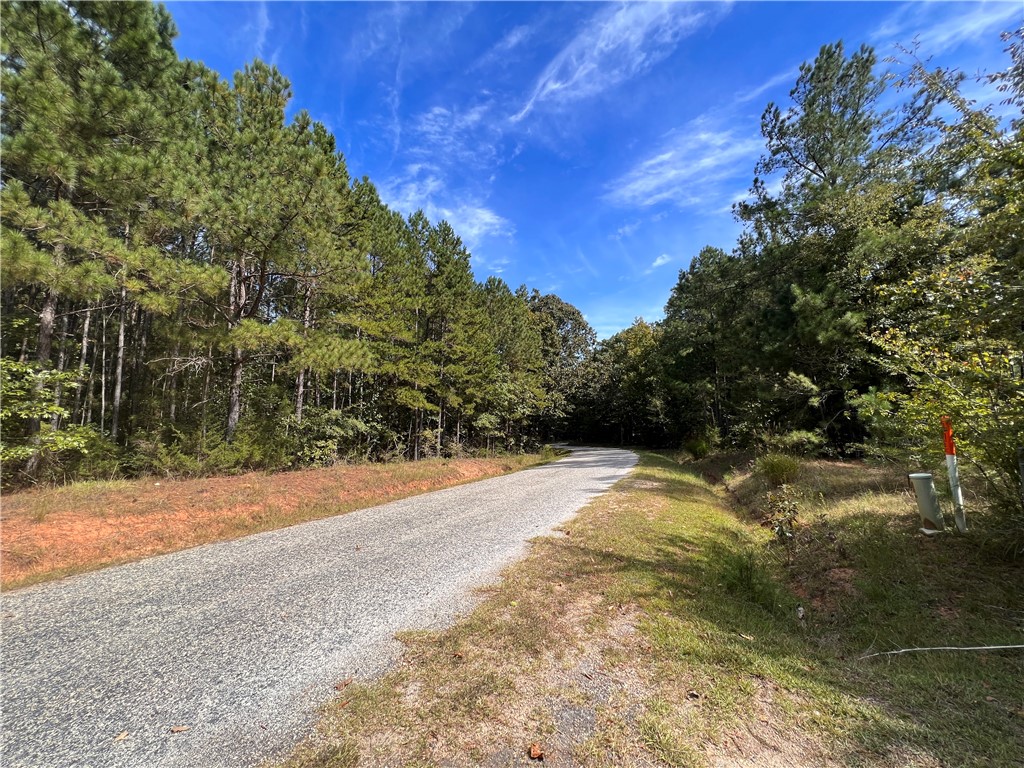 770 N Road Iva, SC 29655 - Photo 46 of 48 Approaching Property