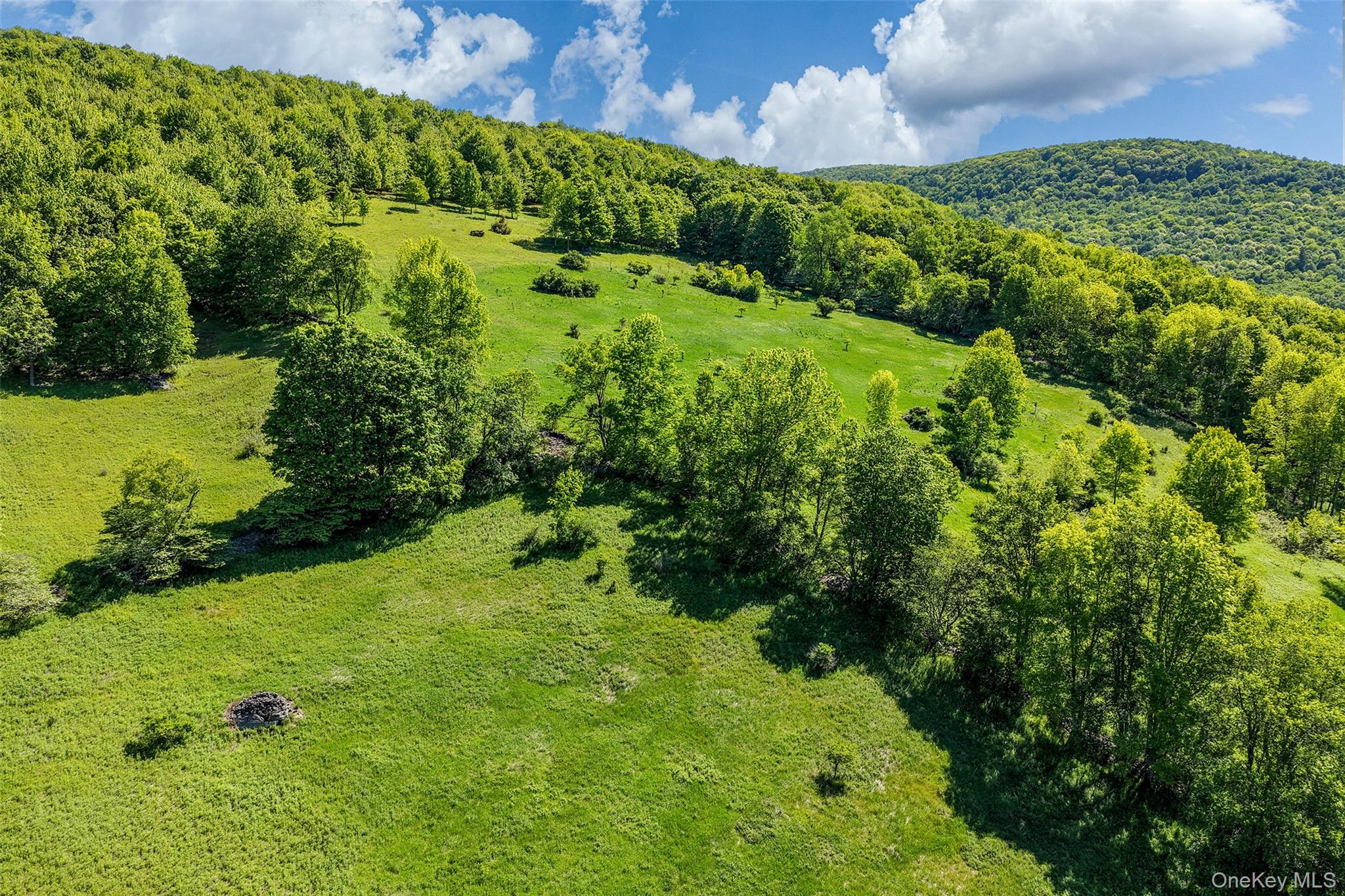 26 Federal Hill 2 Road Delhi, NY 13753 - Photo 46 of 50
