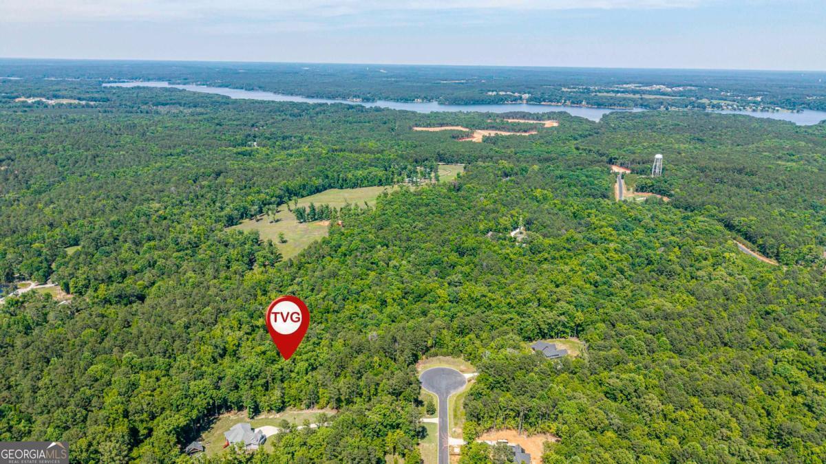 1360 Sailview Drive Buckhead, GA 30625 - Photo 12 of 37