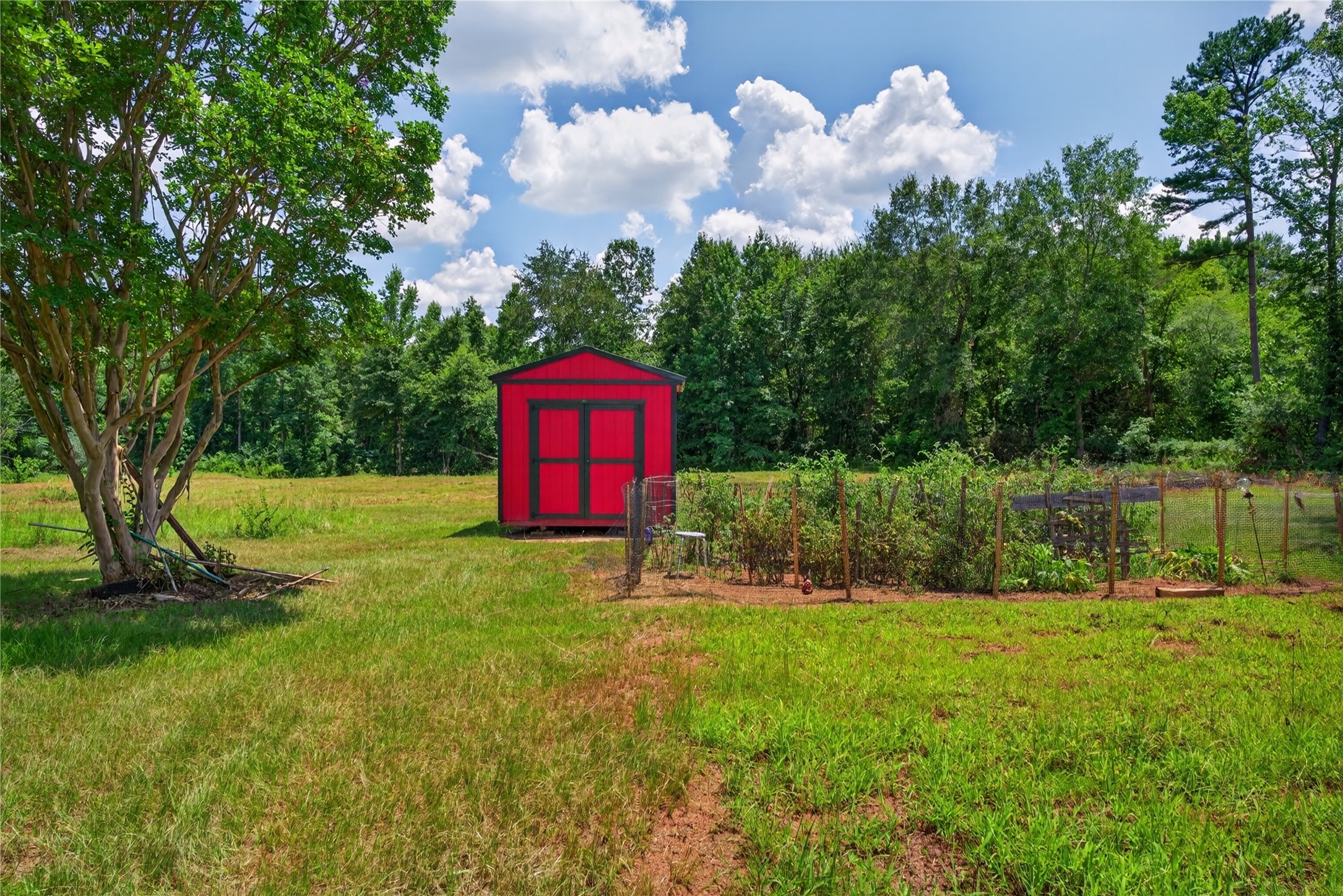 831 County Road 1207 Rusk, TX 75785 - Photo 36 of 45