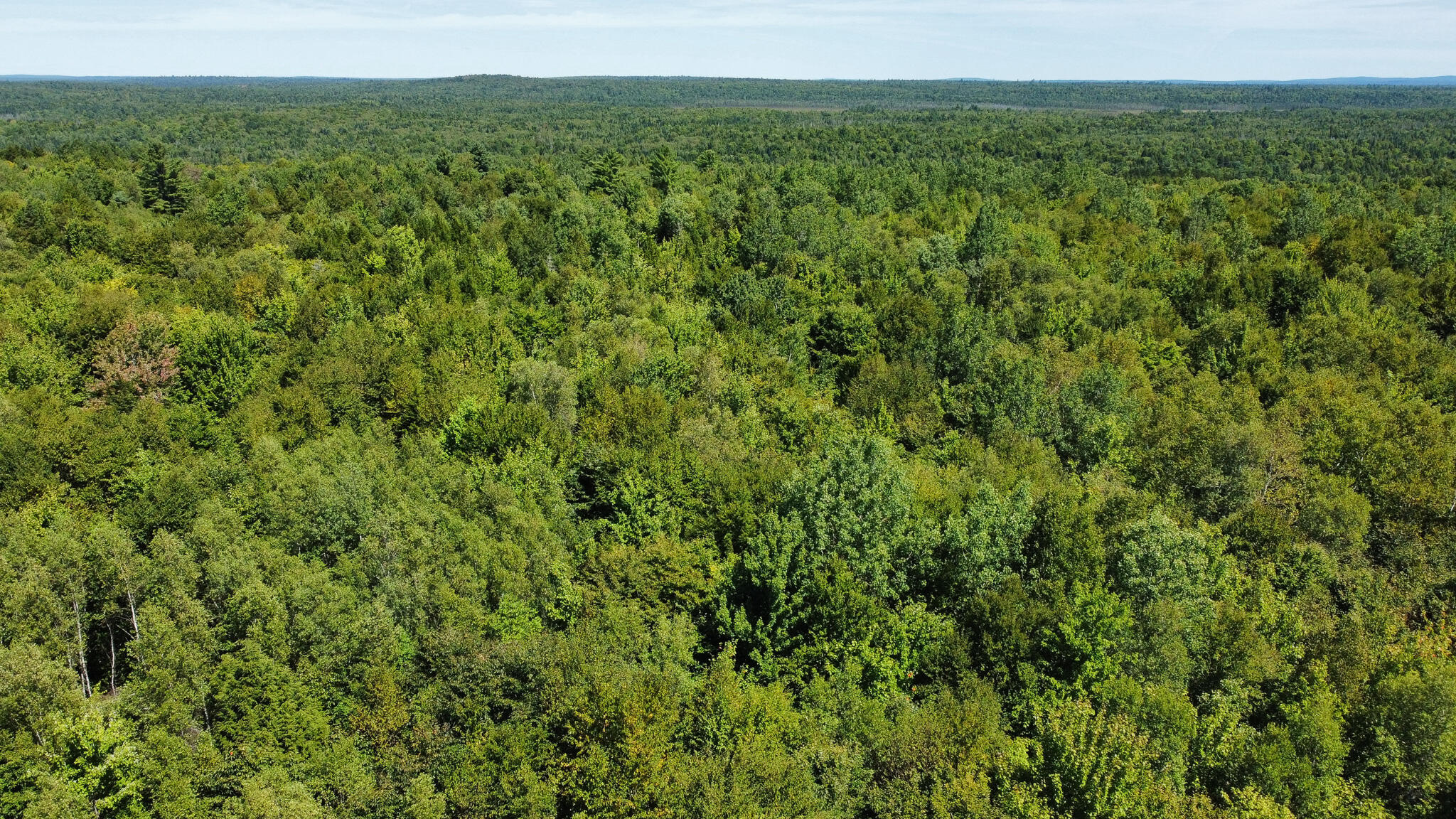 95 Branch Road Wells, ME 04090 - Photo 1 of 23 1