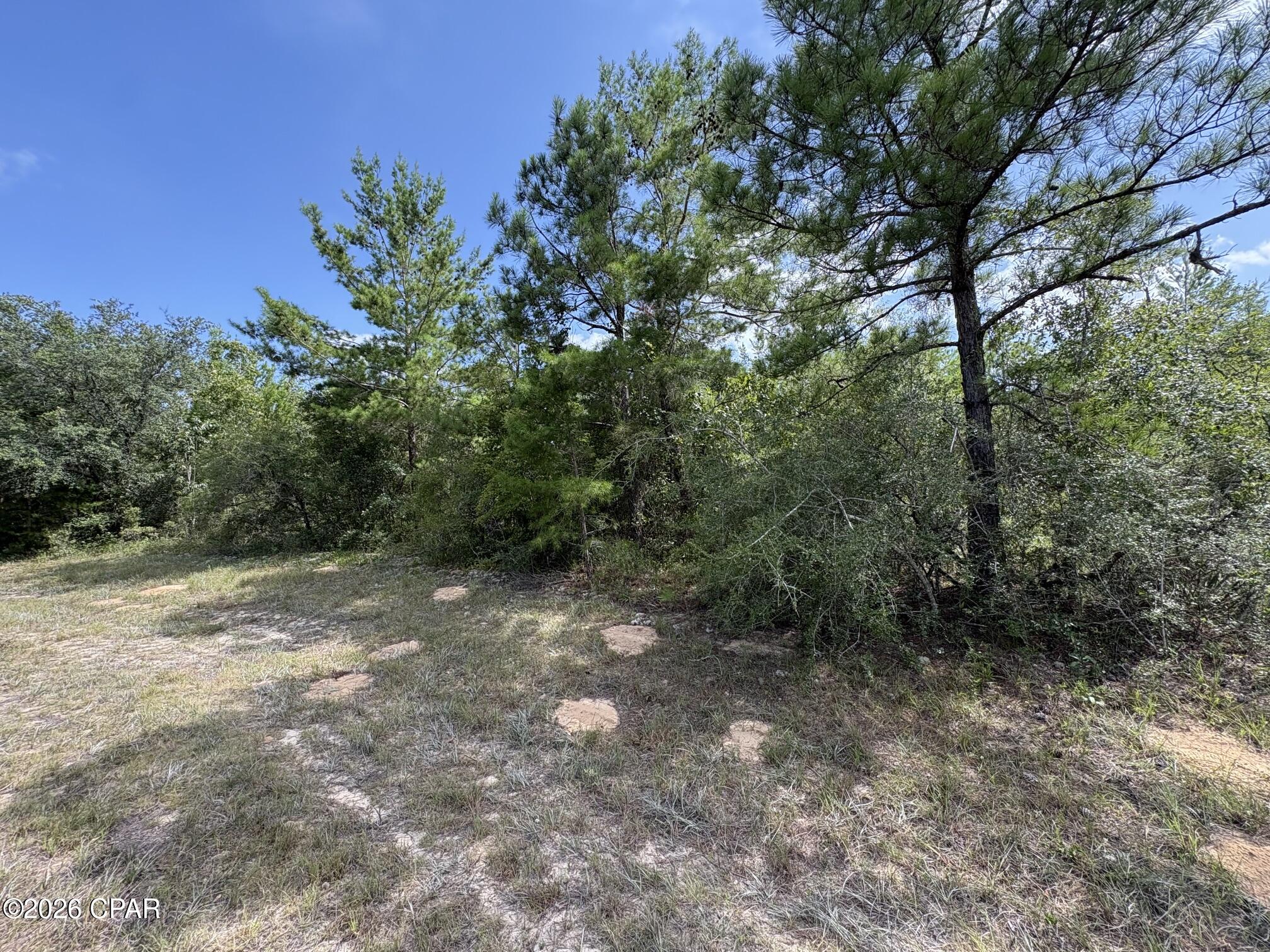 Lot 2 Tulsa Place Chipley, FL 32428 - Photo 3 of 5 Gallery Image 3