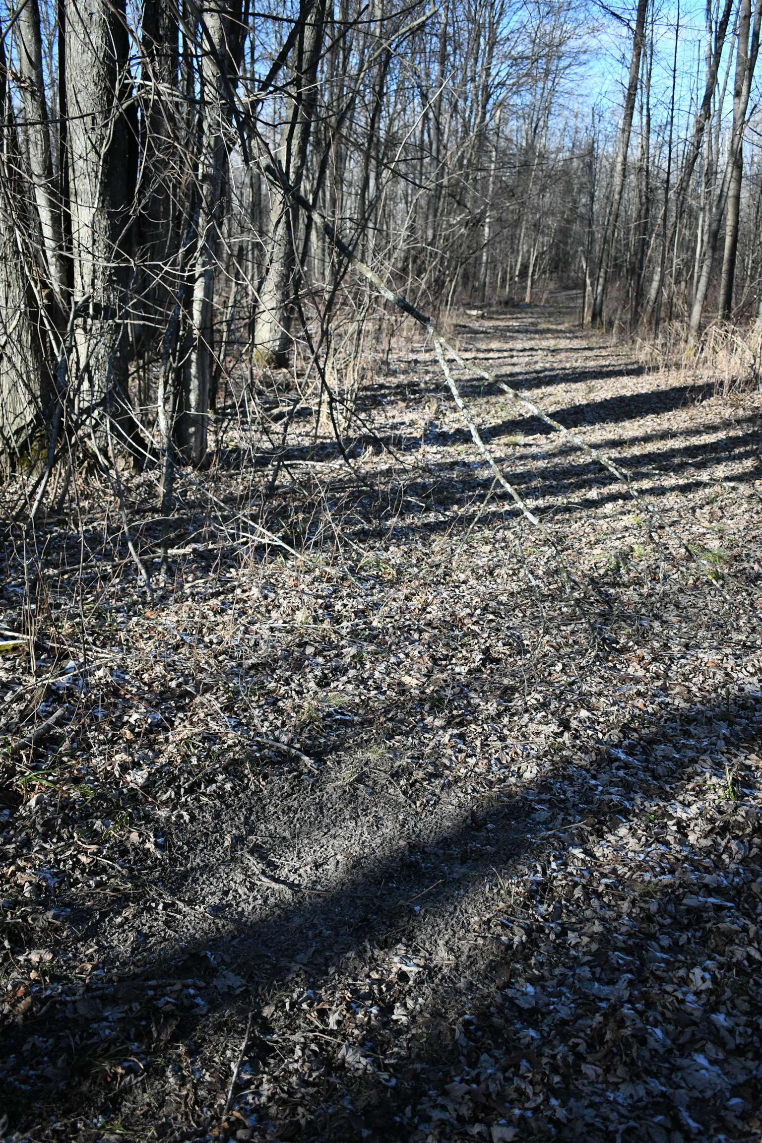 3471 Crosby Road Turner, MI 48765 - Photo 26 of 49 Gallery Image 26