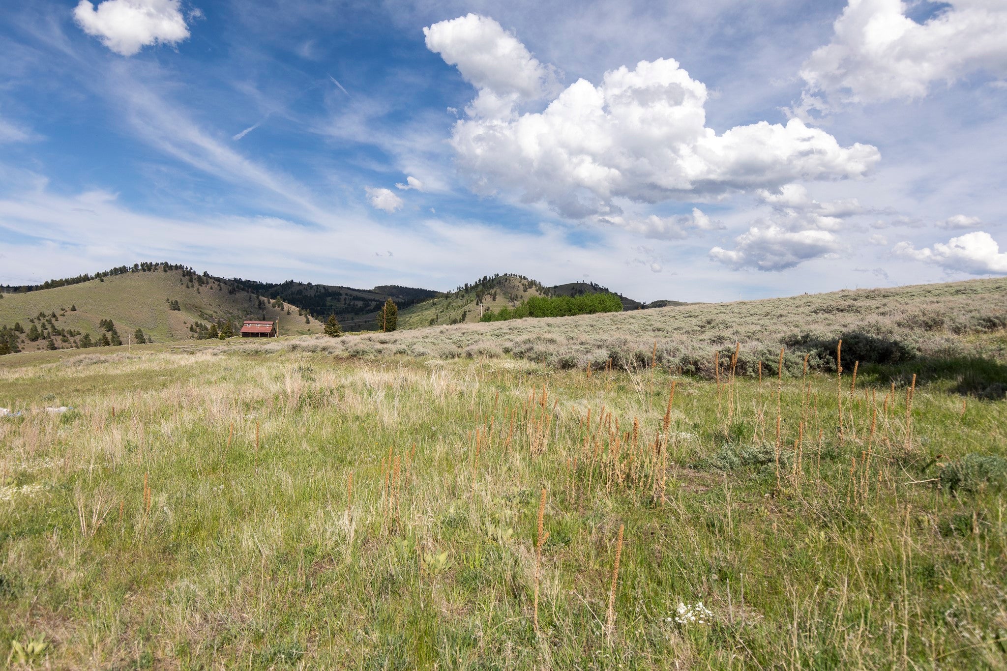 386 Ross Gulch Road Townsend, MT 59644 - Photo 19 of 46 Gallery Image 19
