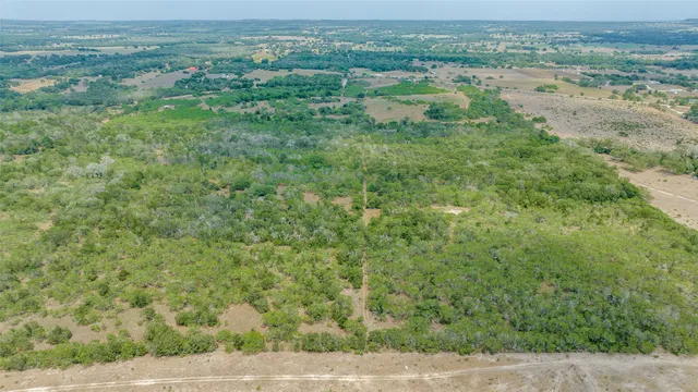 an aerial view of residential houses with outdoor space and trees