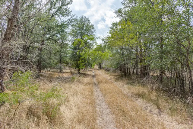 a view of outdoor space and trees