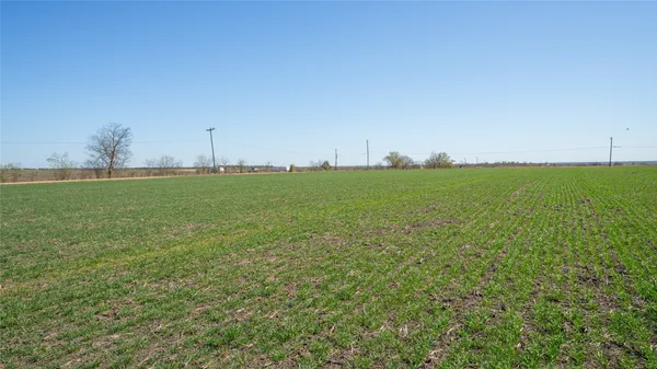 a view of a green field with clear sky