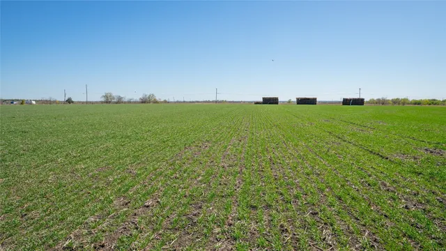 a view of a green field with lots of bushes