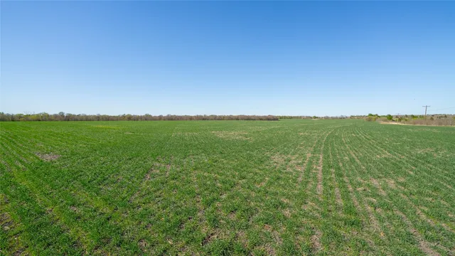 a view of a lush green space with sea