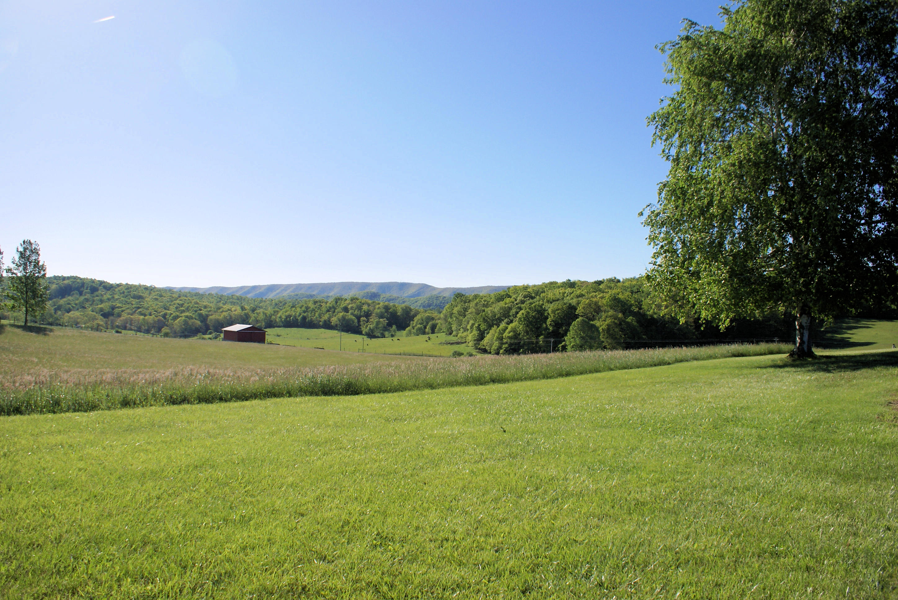 8260 Newport Road Catawba, VA 24070 - Photo 35 of 43 View-7