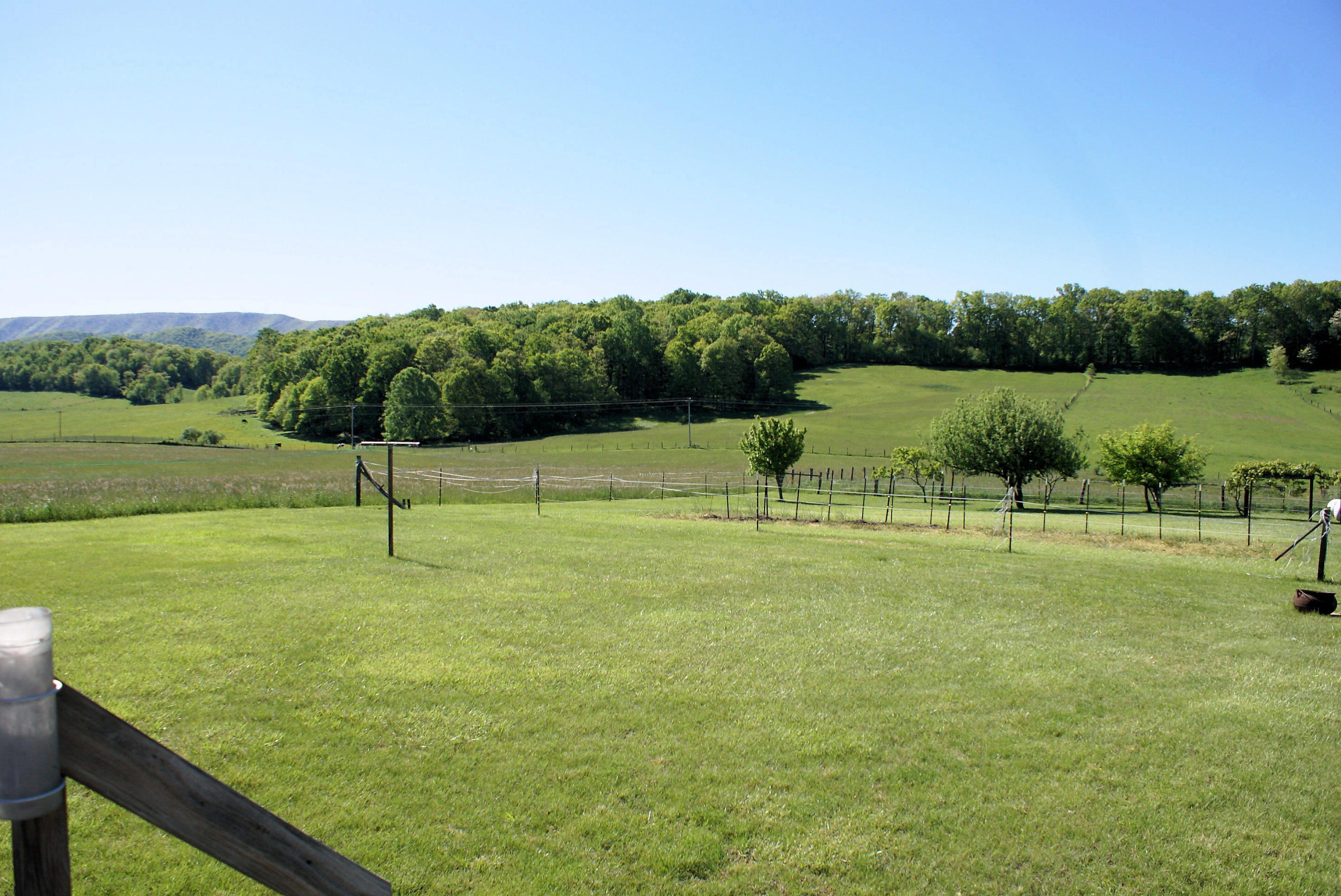 8260 Newport Road Catawba, VA 24070 - Photo 36 of 43 View-6