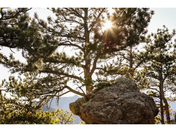 $1,295,000 | 1893 Colard Lane, Lyons, CO 80540