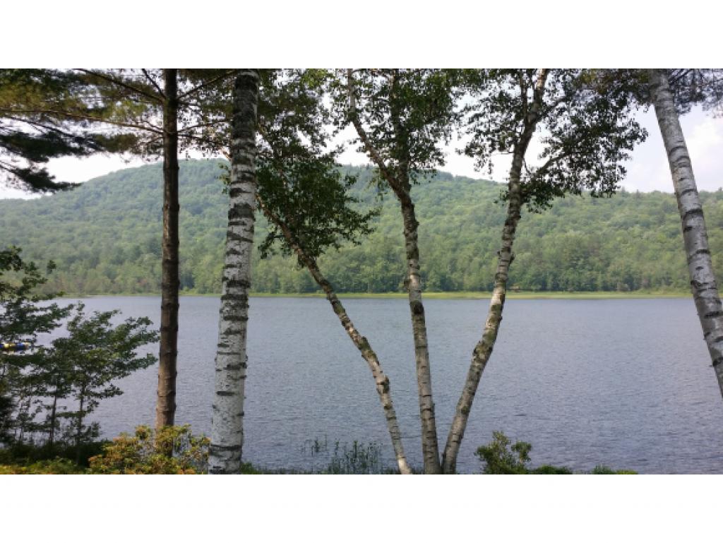 133 Stocker Pond Road Grantham, NH 03753 - Photo 1 of 6