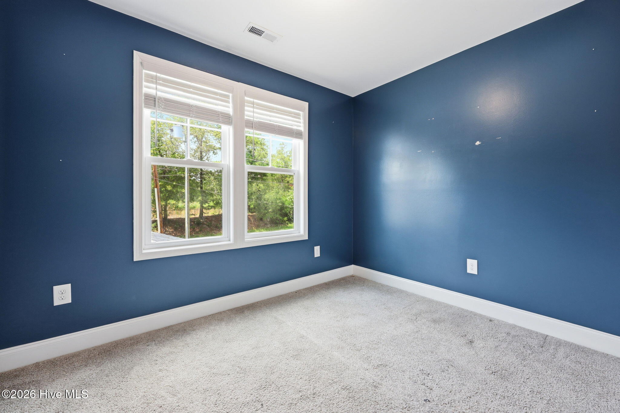 493 Camp Easter Road Lakeview, NC 28350 - Photo 21 of 40 Gallery Image 21