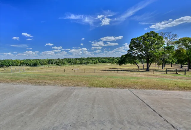 a view of a dry yard